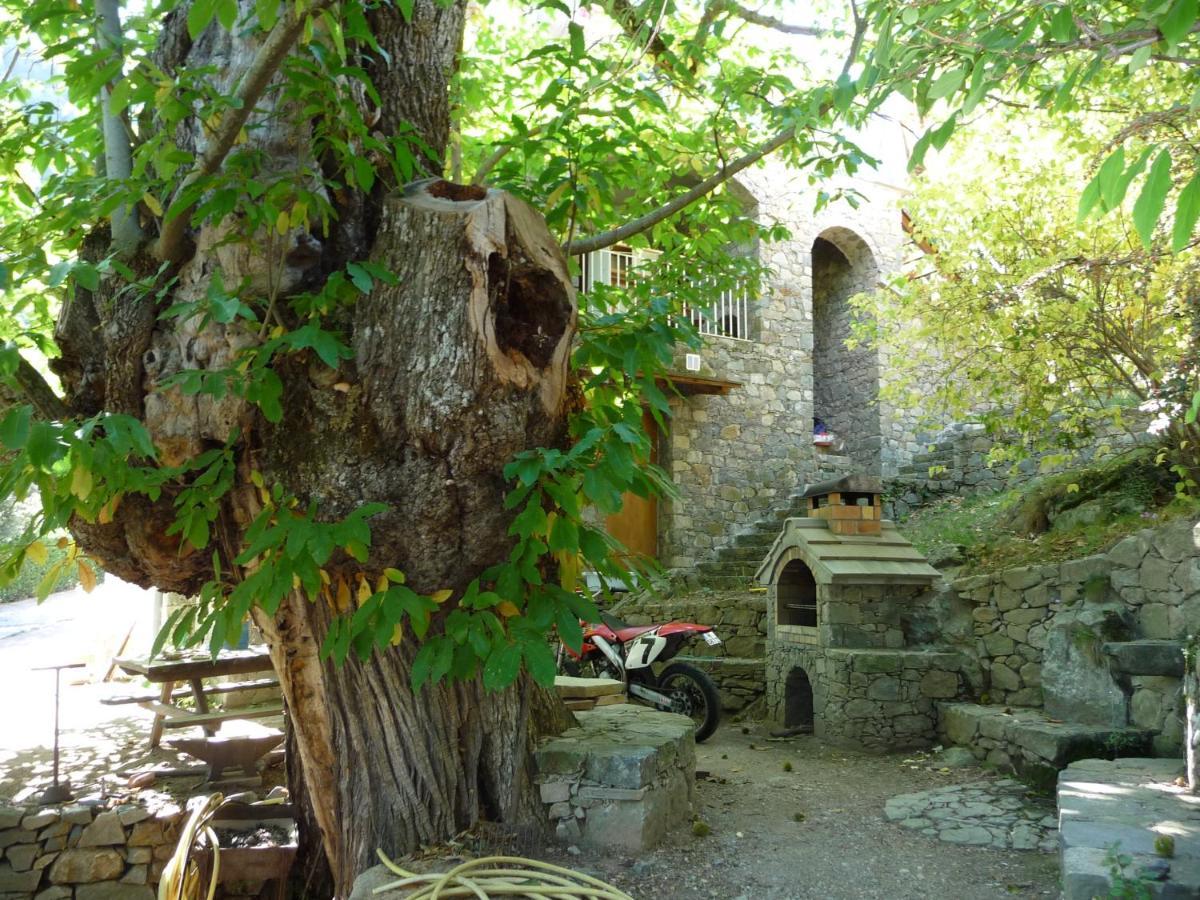 Chambre d'Hôte Chez Antoinette et Charles Santo-Pietro-di-Venaco Extérieur photo